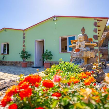 Casa Rural Buda Terra Santa Cruz de Tenerife Zewnętrze zdjęcie