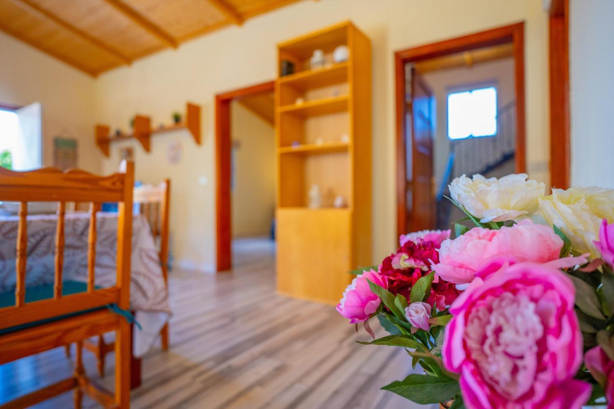 Casa Rural Buda Terra Santa Cruz de Tenerife Zewnętrze zdjęcie