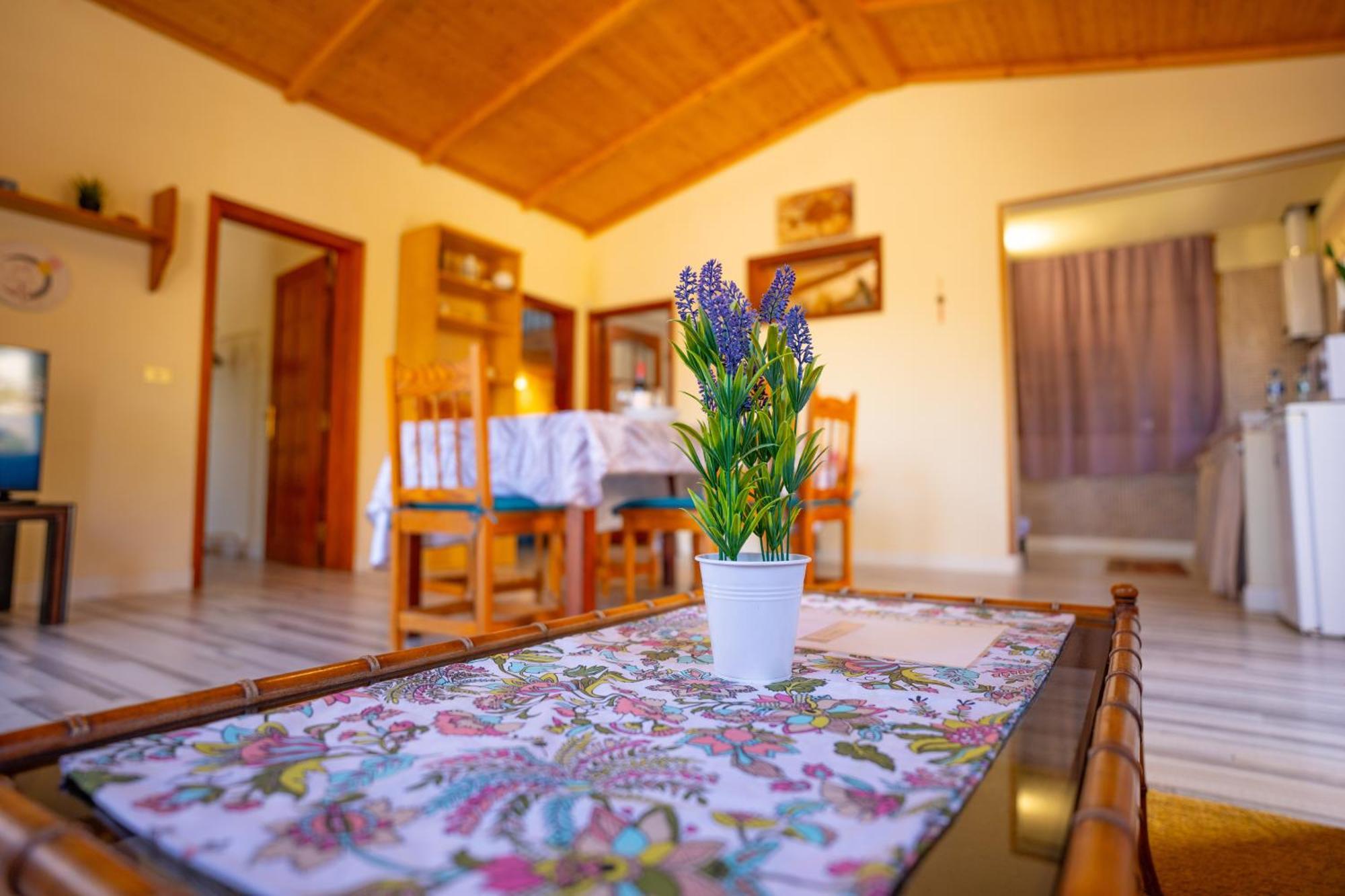 Casa Rural Buda Terra Santa Cruz de Tenerife Zewnętrze zdjęcie